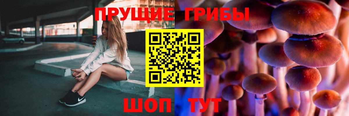 Энгельс  Галлюциногенные грибы Psilocybe  Вход с VPN  Галлюциногенные грибы GOLDEN TEACHER 